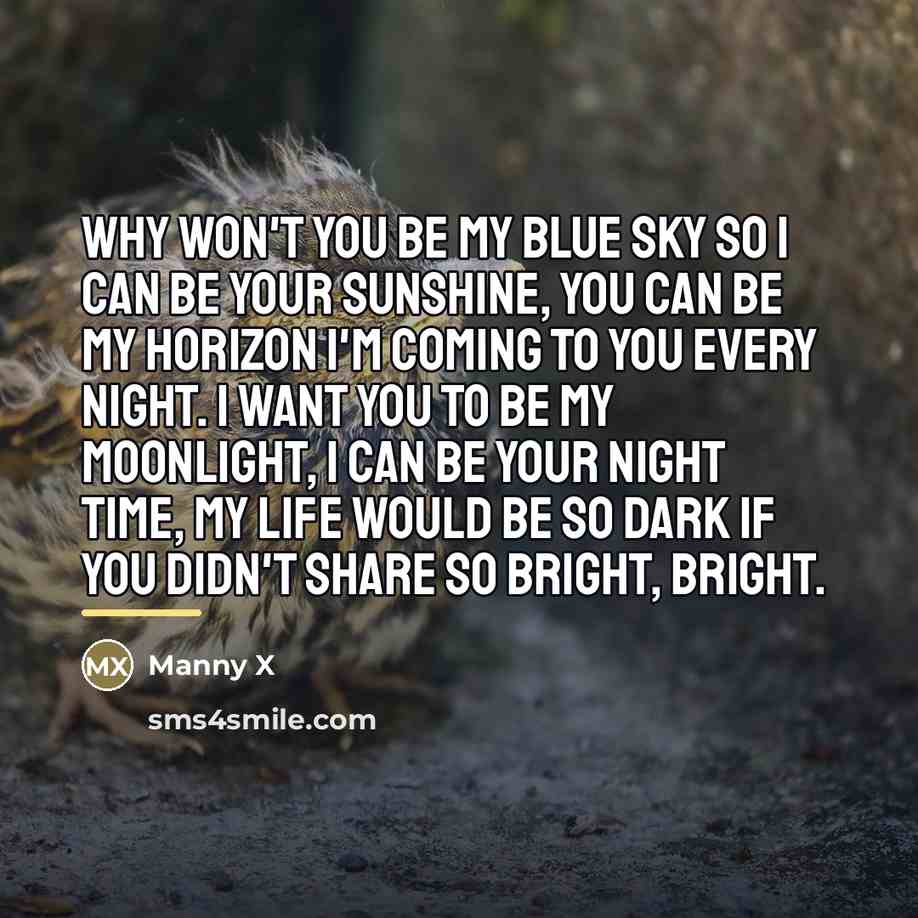 “Why won't you be my blue sky so I can…” quote by Manny X