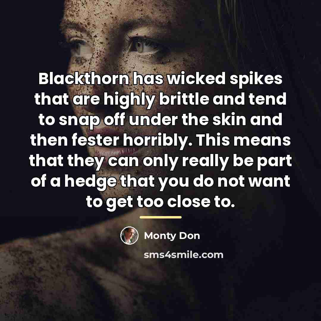 “Blackthorn has wicked spikes that are highly brittle and tend…” quote by Monty Don