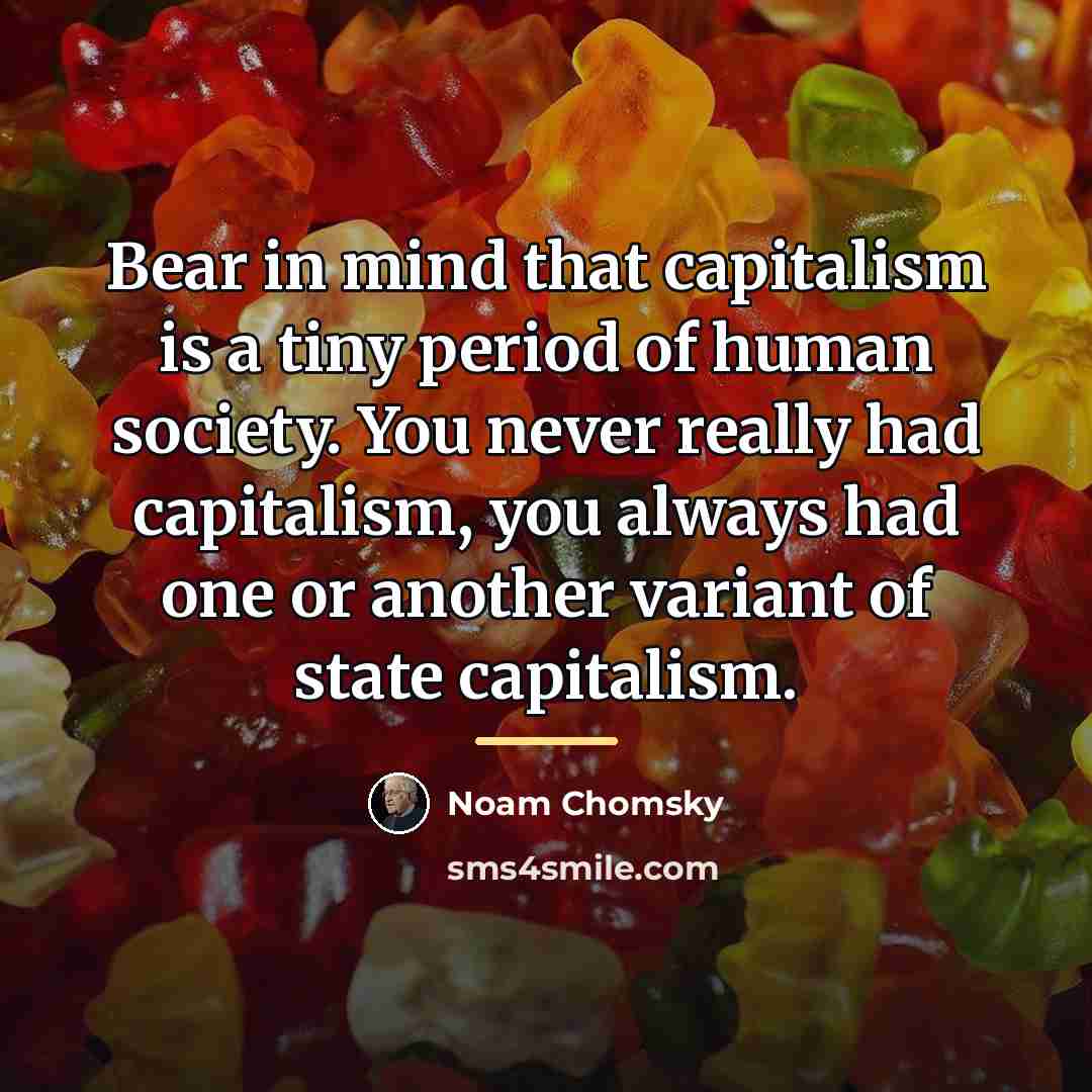 “Bear in mind that capitalism is a tiny period of…” quote by Noam Chomsky