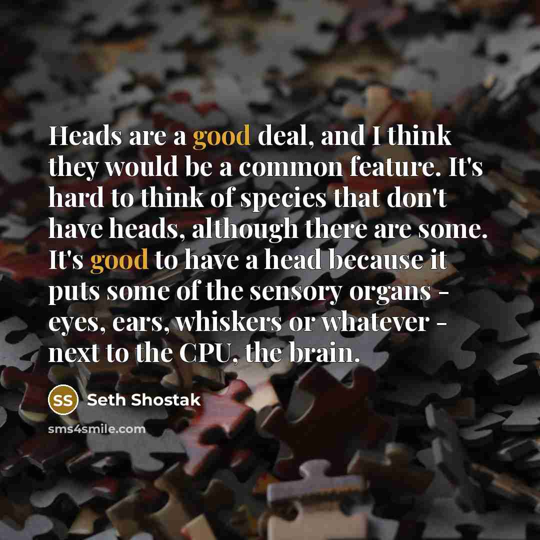 “Heads are a good deal, and I think they would…” quote by Seth Shostak