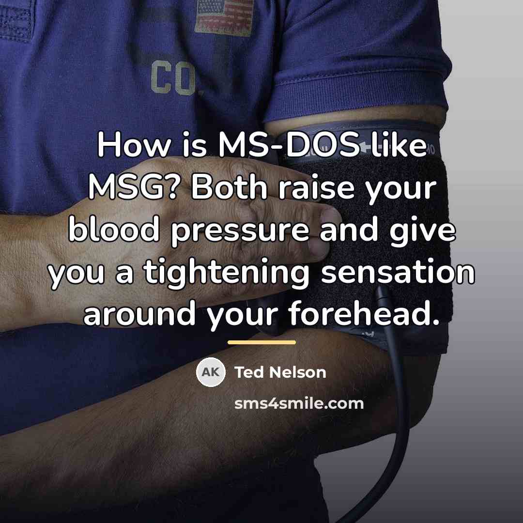 “How is MS-DOS like MSG? Both raise your blood pressure…” quote by Ted Nelson