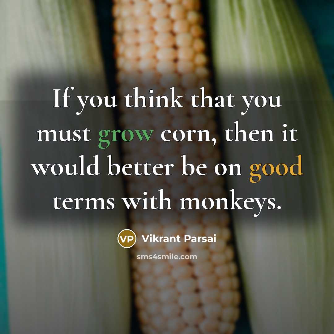 “If you think that you must grow corn, then it…” quote by Vikrant Parsai