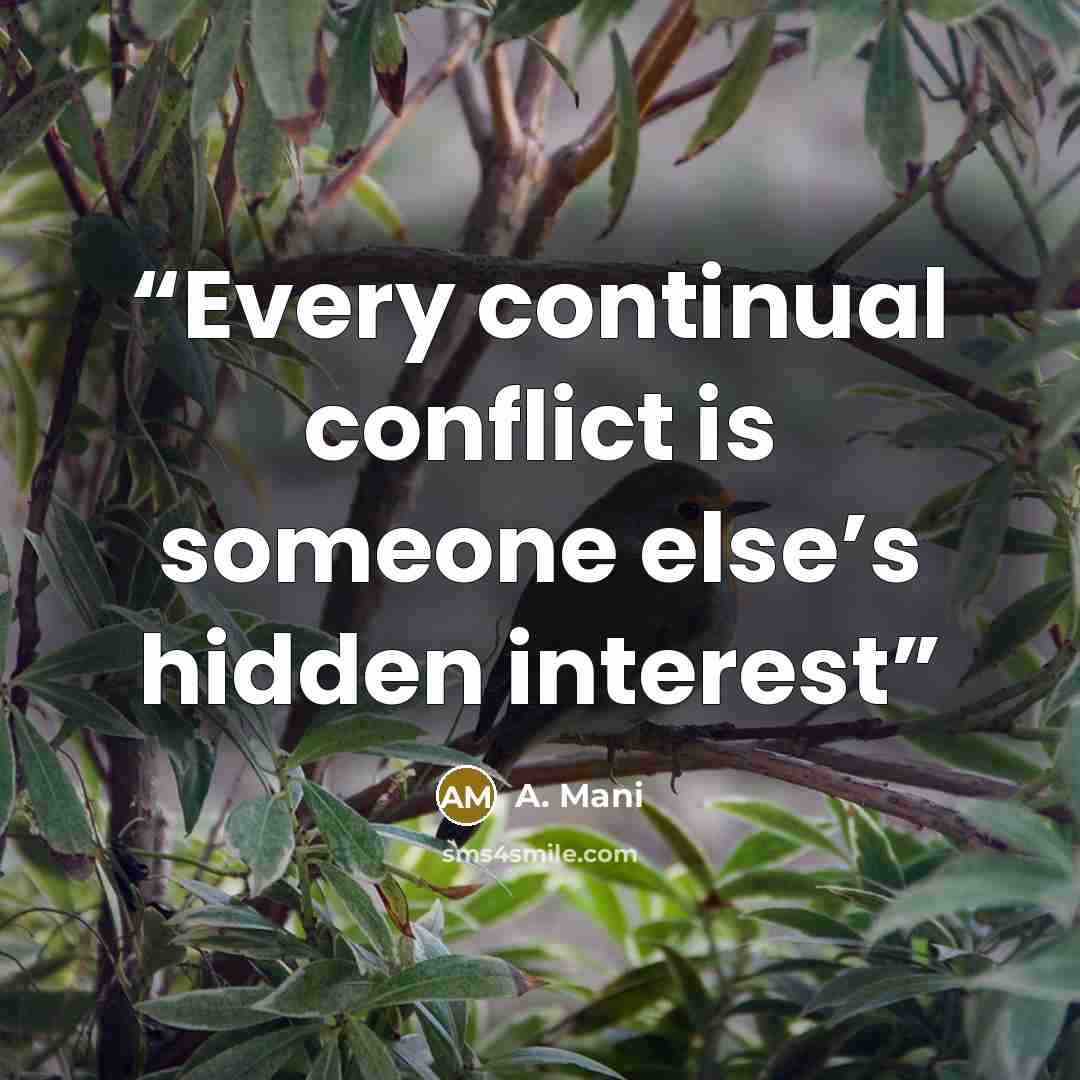 “Every continual conflict is someone else’s hidden interest” quote by A. Mani