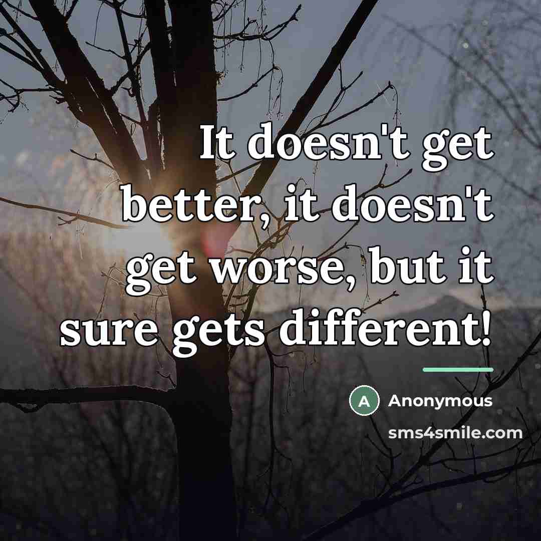 “It doesn't get better, it doesn't get worse, but it…” quote by Anonymous