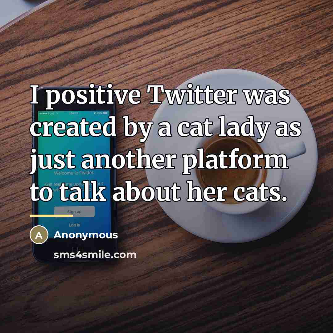 “I positive Twitter was created by a cat lady as…” quote by Anonymous