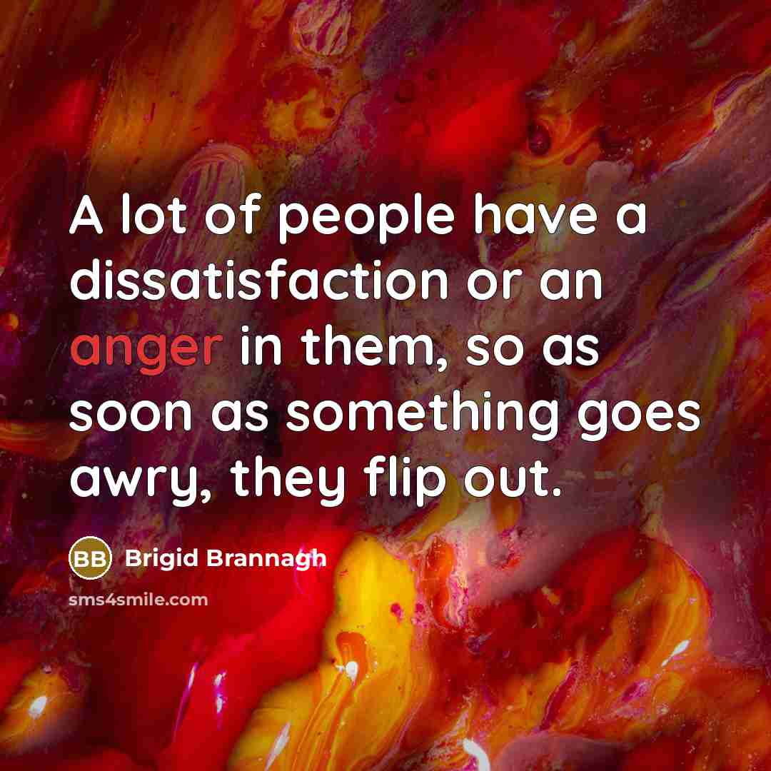 “A lot of people have a dissatisfaction or an anger…” quote by Brigid Brannagh