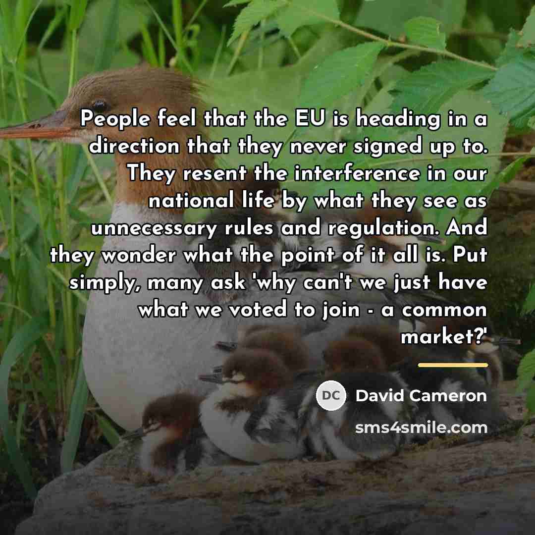 “People feel that the EU is heading in a direction…” quote by David Cameron
