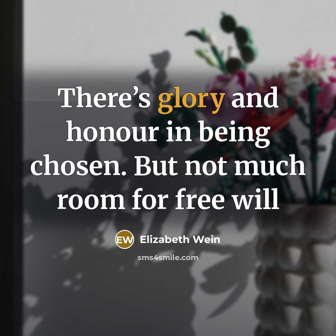 “There’s glory and honour in being chosen. But not much…” quote by Elizabeth Wein