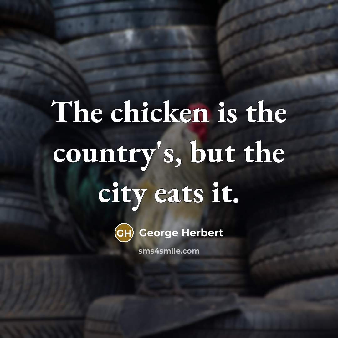 “The chicken is the country's, but the city eats it.” quote by George Herbert