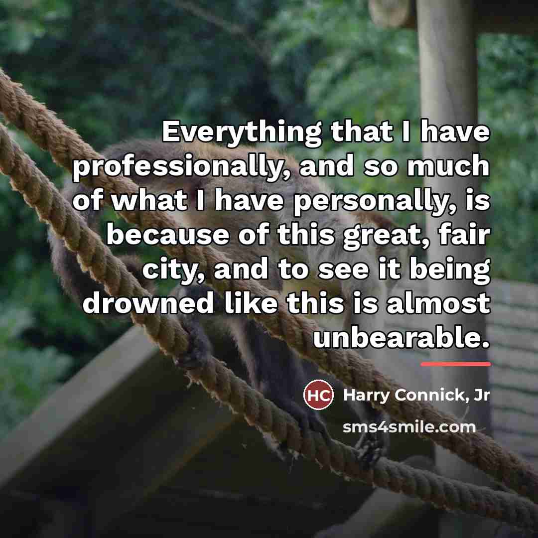 “Everything that I have professionally, and so much of what…” quote by Harry Connick, Jr