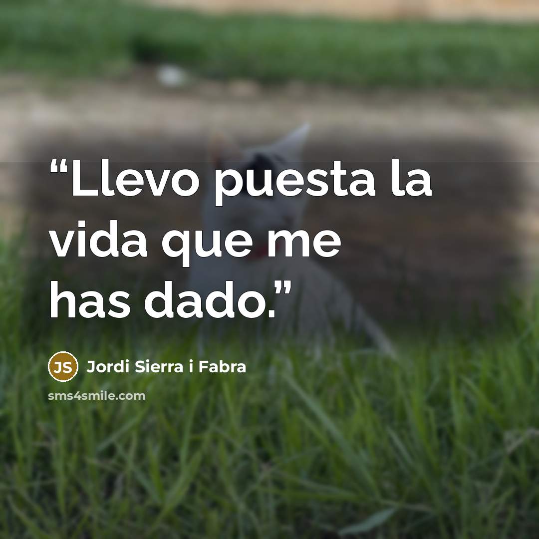 “Llevo puesta la vida que me has dado.” quote by Jordi Sierra i Fabra