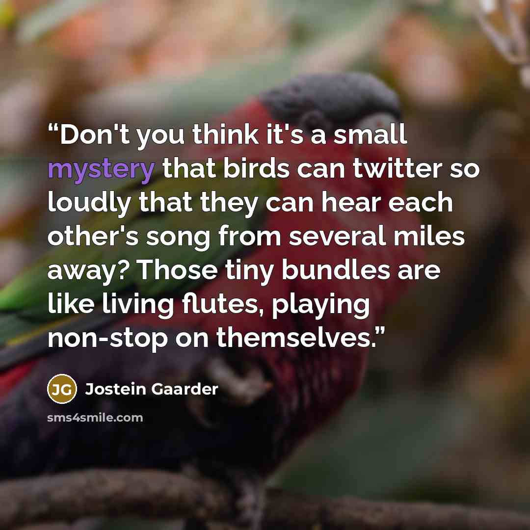 “Don't you think it's a small mystery that birds can twitter so loudly that they can hear each other's song from several miles away? Those tiny bundles are like living flutes, playing non-stop on themselves.” quote by Jostein Gaarder
