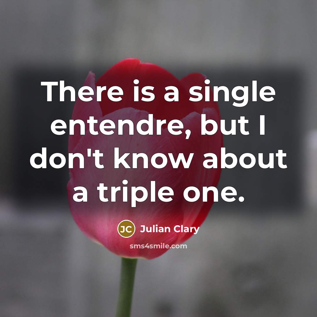 “There is a single entendre, but I don't know about…” quote by Julian Clary