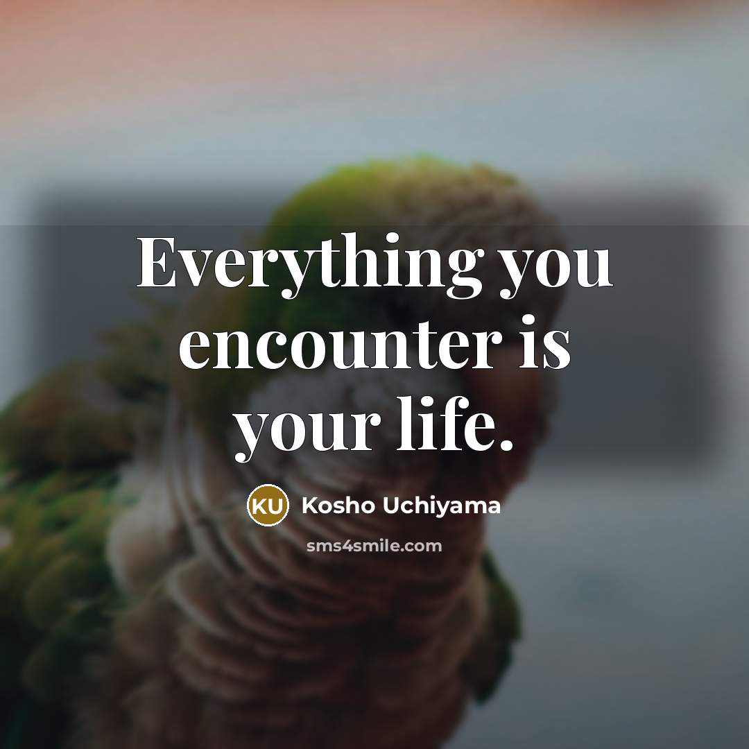 “Everything you encounter is your life.…” quote by Kosho Uchiyama