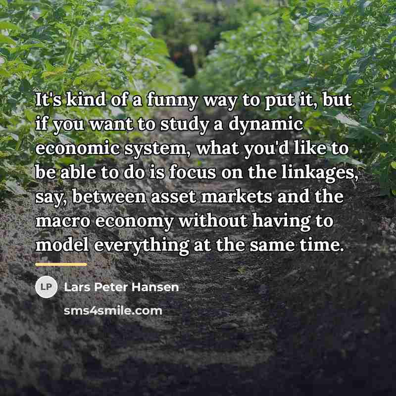 “It's kind of a funny way to put it, but…” quote by Lars Peter Hansen