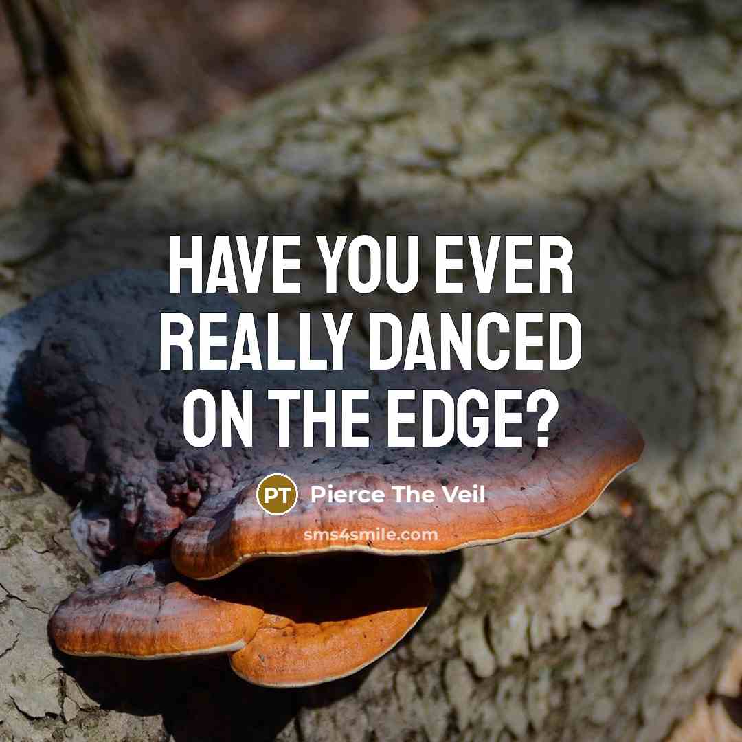 “Have you ever really danced on the edge?…” quote by Pierce The Veil
