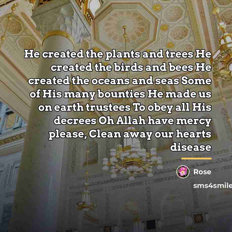 “He created the plants and trees He created the birds…” quote by Rose
