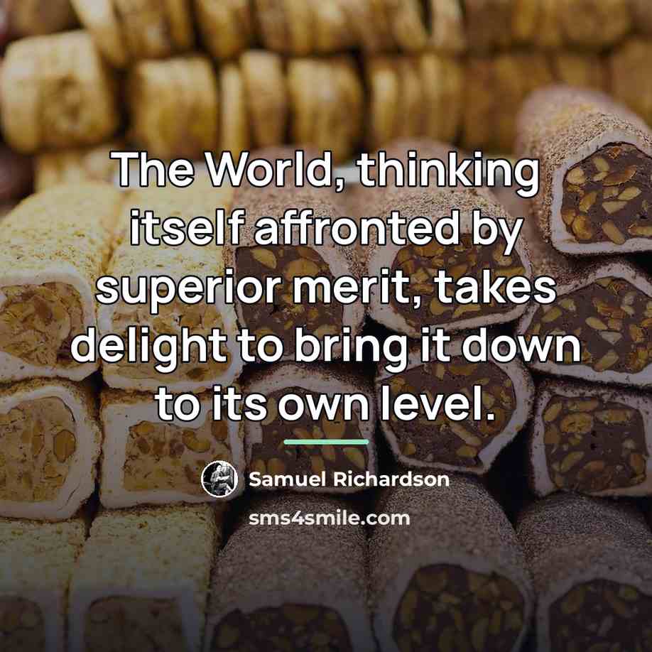 “The World, thinking itself affronted by superior merit, takes delight…” quote by Samuel Richardson