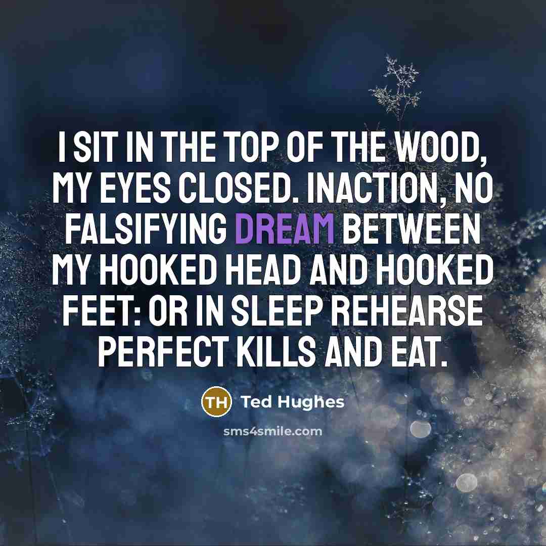 “I sit in the top of the wood, my eyes…” quote by Ted Hughes