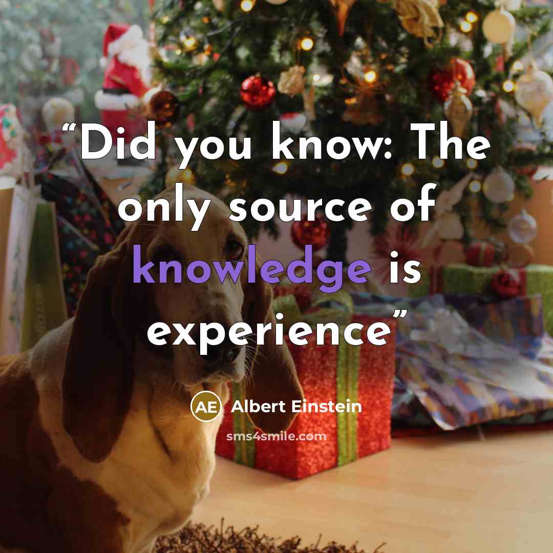 “Did you know: The only source of knowledge is experience” quote by Albert Einstein