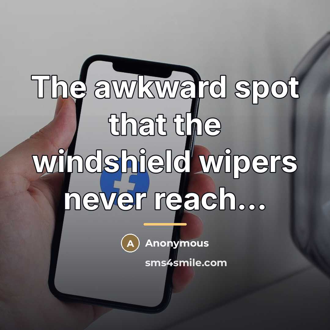 “The awkward spot that the windshield wipers never reach...…” quote by Anonymous