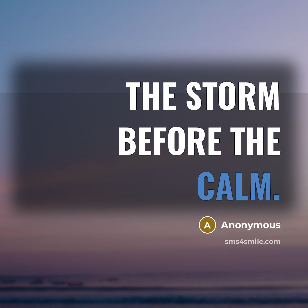 “The storm before the calm.…” quote by Anonymous