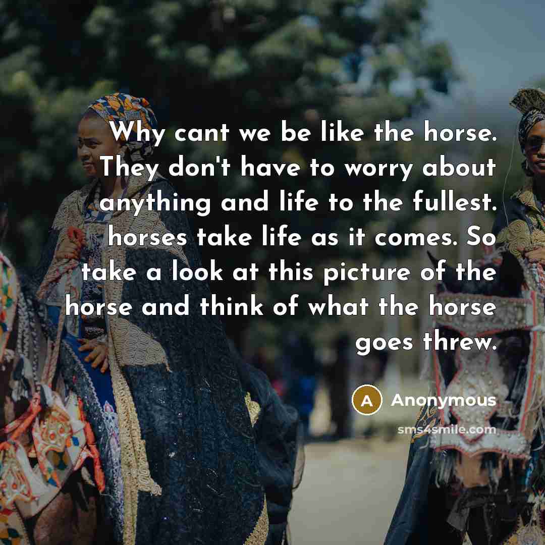 “Why cant we be like the horse. They don't have…” quote by Anonymous