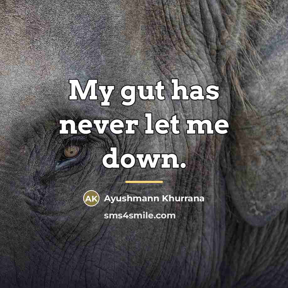 “My gut has never let me down.…” quote by Ayushmann Khurrana
