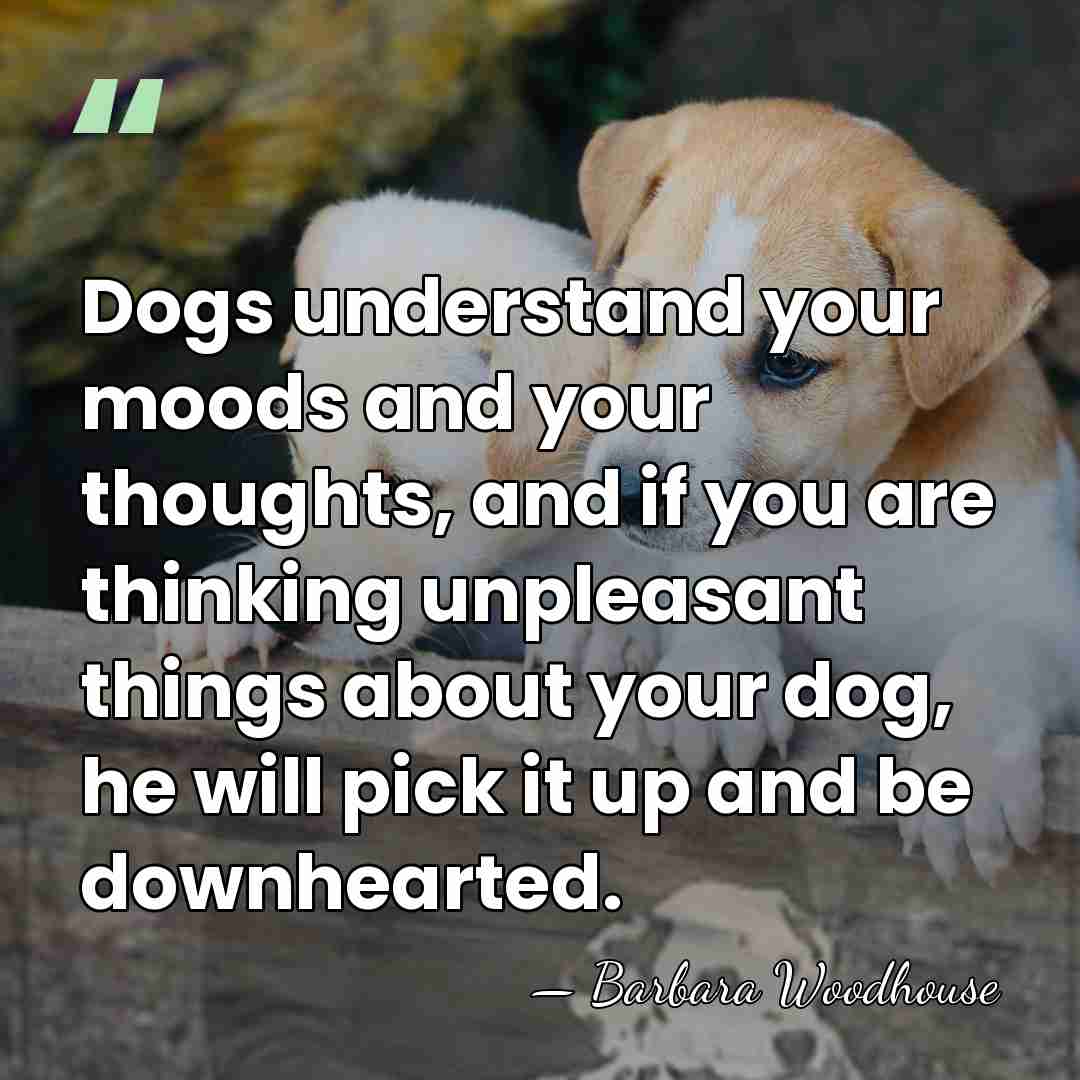 Dogs understand your moods and your thoughts, and if you are thinking&hellip; - Barbara Woodhouse
