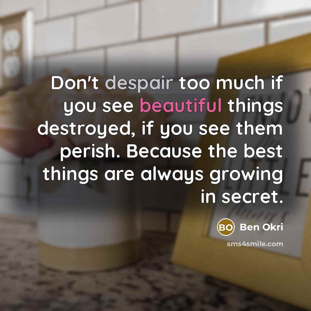 “Don't despair too much if you see beautiful things destroyed,…” quote by Ben Okri