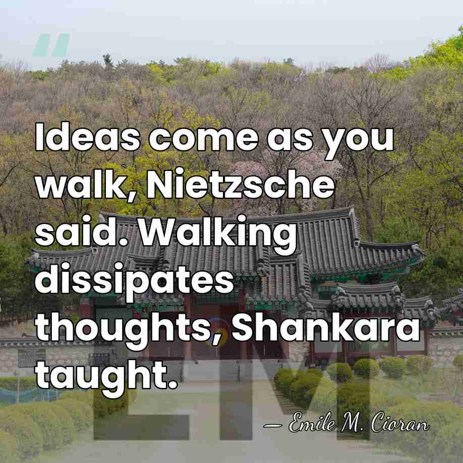 Ideas come as you walk, Nietzsche said. Walking dissipates thoughts, Shankara taught. - Emile M. Cioran