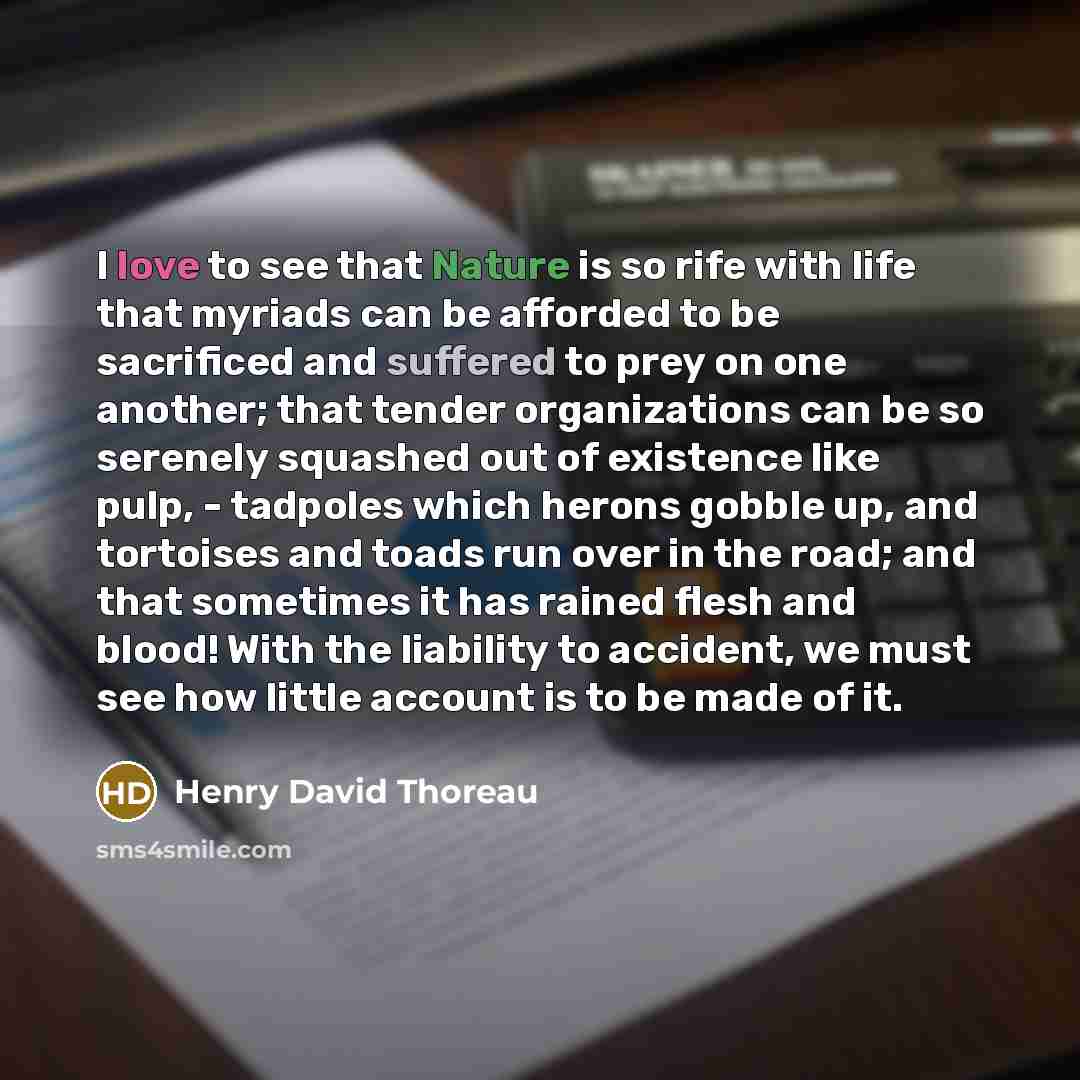 “I love to see that Nature is so rife with life that myriads can be afforded to be sacrificed and suffered to prey on one another; that tender organizations can be so serenely squashed out of existence like pulp, - tadpoles which herons gobble up, and tortoises and toads run over in the road; and…” quote by Henry David Thoreau