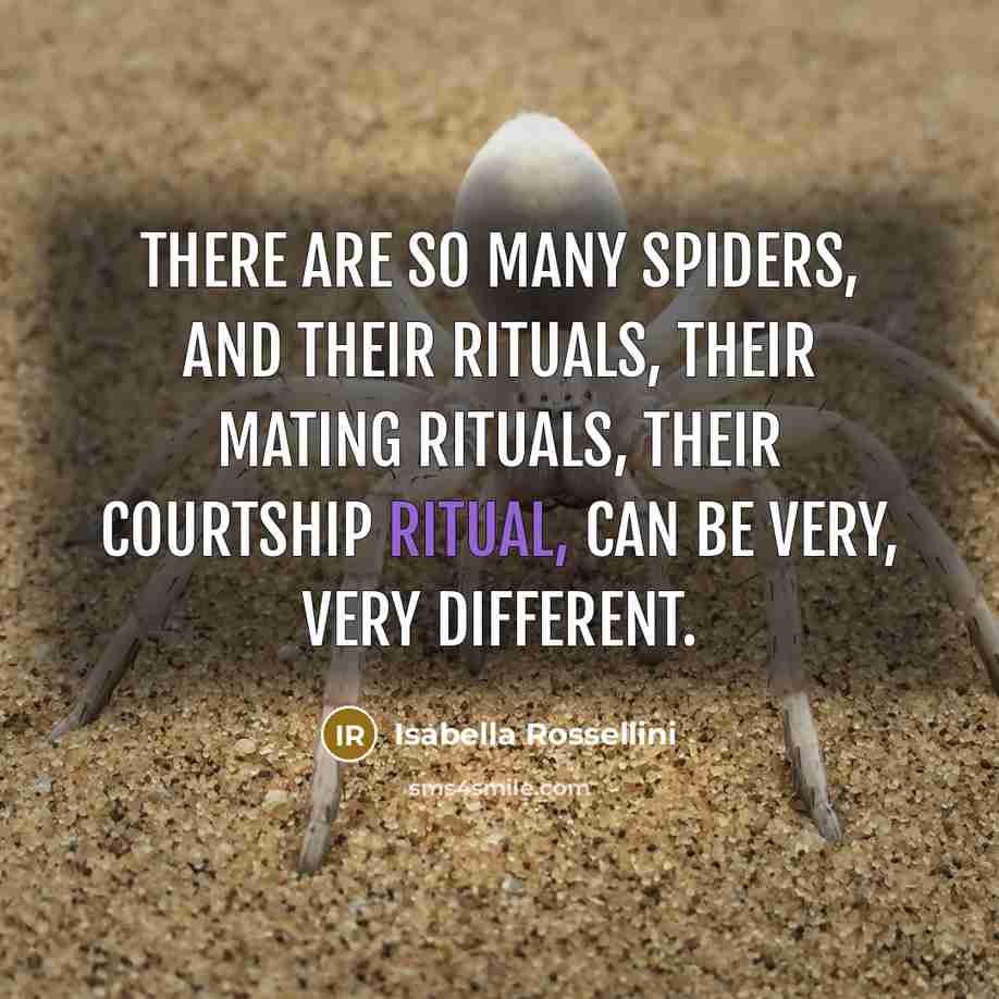 “There are so many spiders, and their rituals, their mating…” quote by Isabella Rossellini