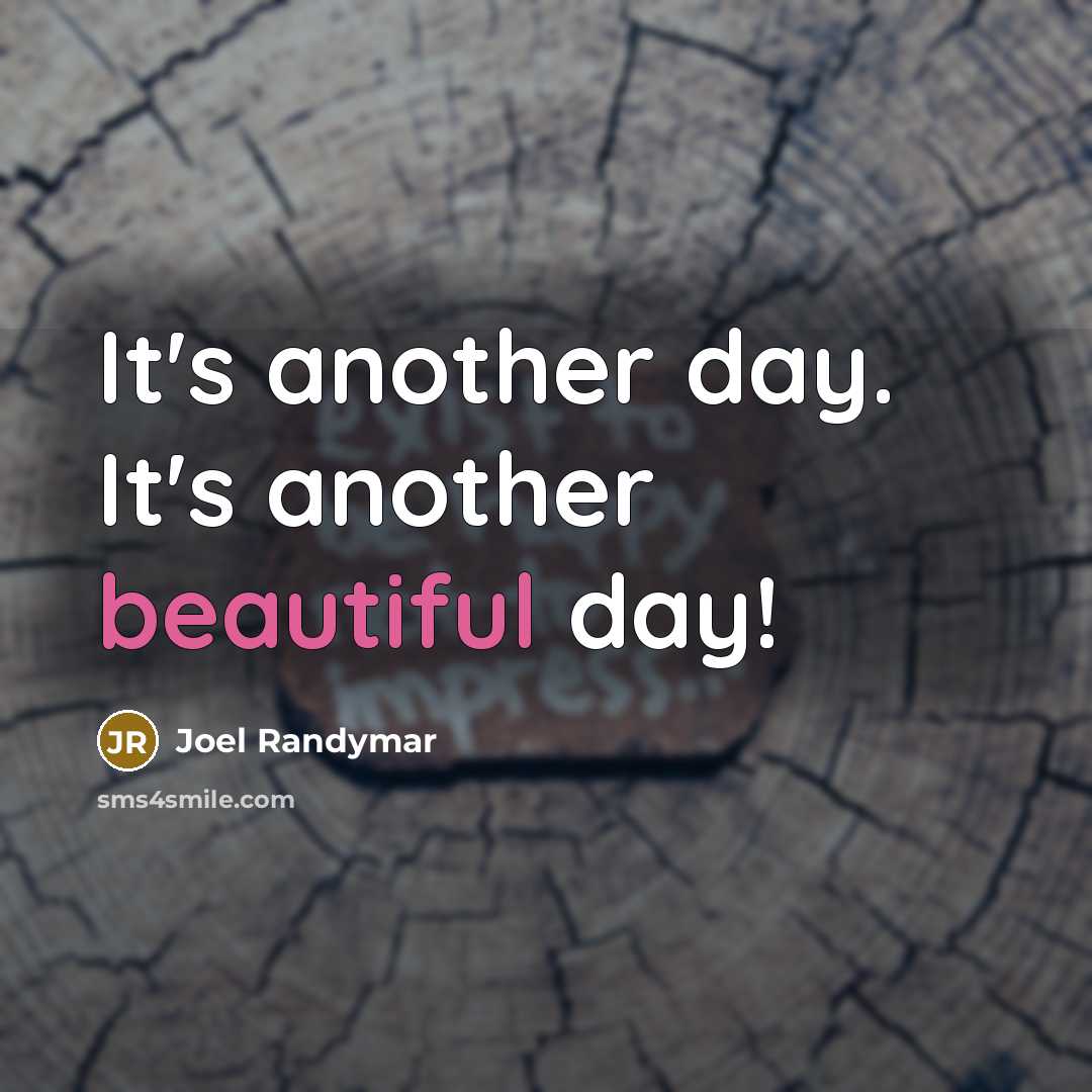 “It's another day. It's another beautiful day!…” quote by Joel Randymar