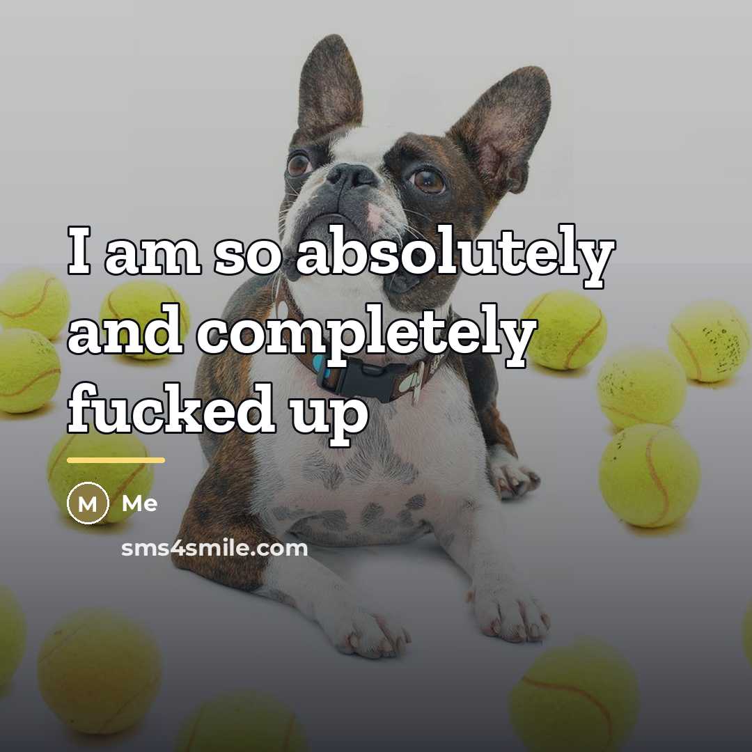 “I am so absolutely and completely fucked up…” quote by Me