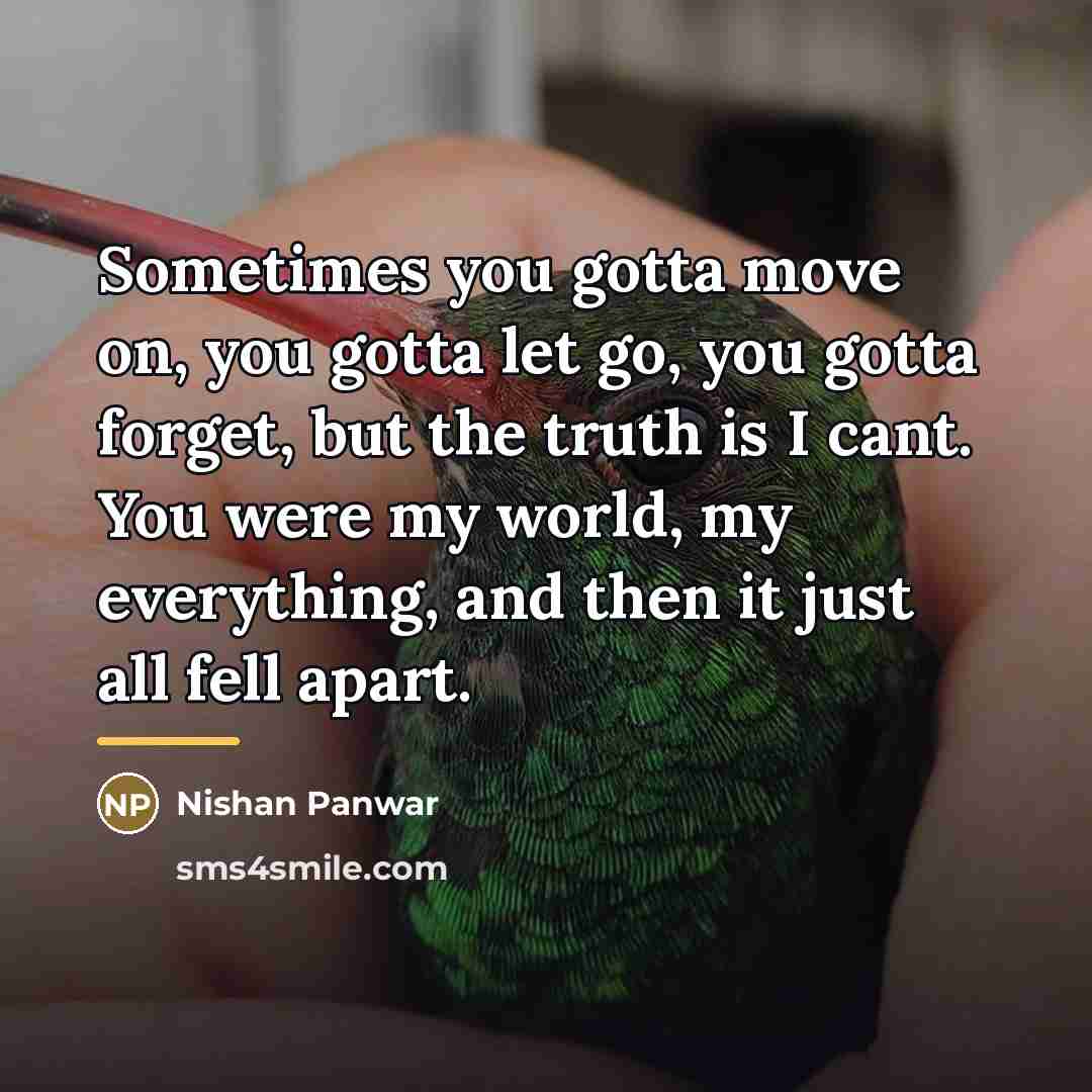 “Sometimes you gotta move on, you gotta let go, you…” quote by Nishan Panwar
