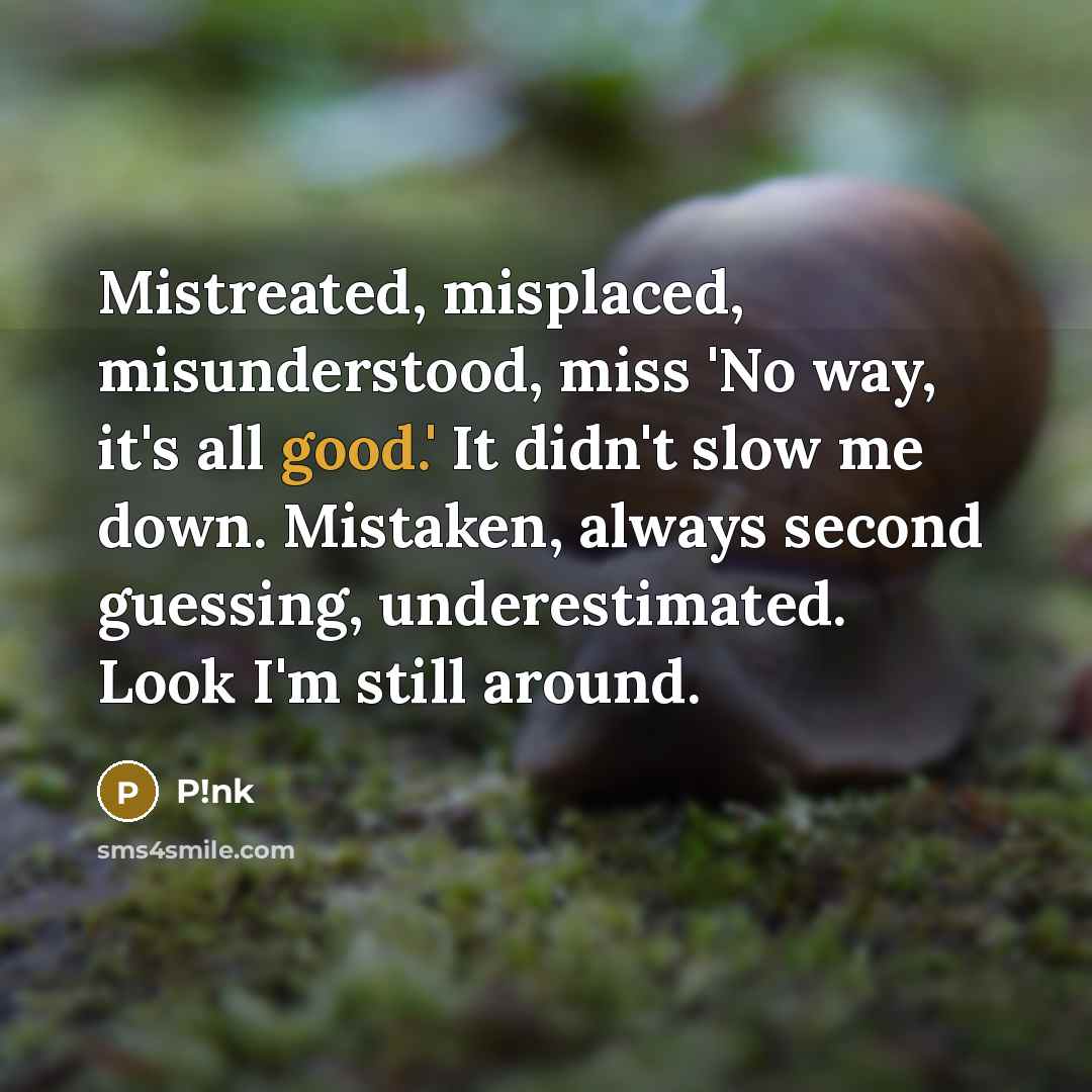 “Mistreated, misplaced, misunderstood, miss 'No way, it's all good.' It didn't slow me down. Mistaken, always second guessing, underestimated. Look I'm still around.” quote by P!nk