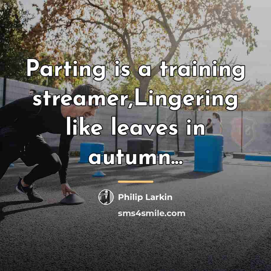 “Parting is a training streamer,Lingering like leaves in autumn...…” quote by Philip Larkin