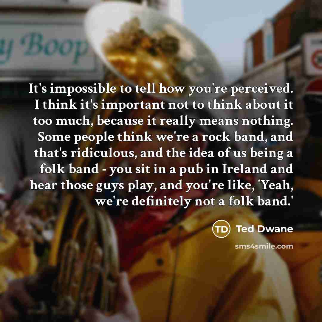“It's impossible to tell how you're perceived. I think it's…” quote by Ted Dwane