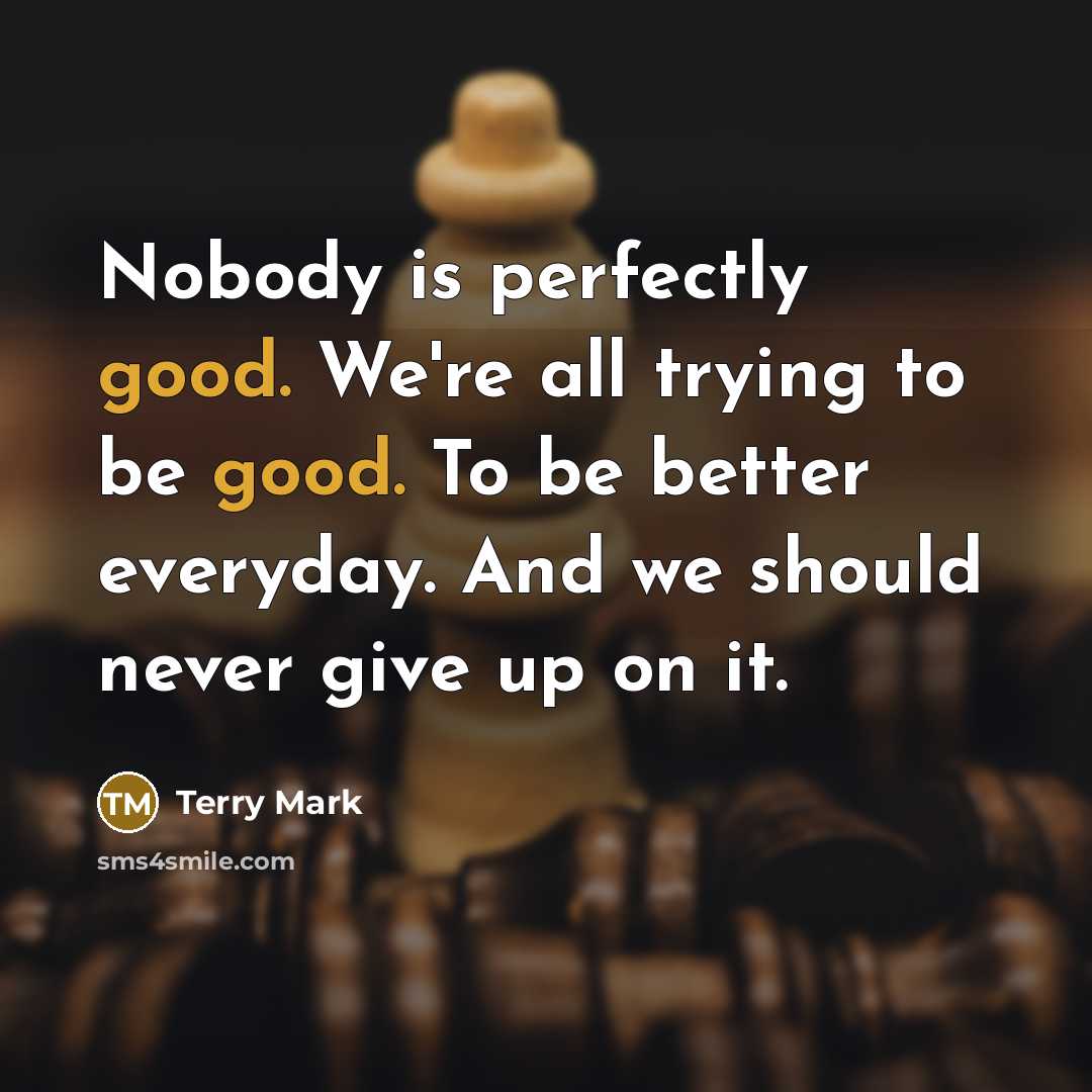 “Nobody is perfectly good. We're all trying to be good.…” quote by Terry Mark