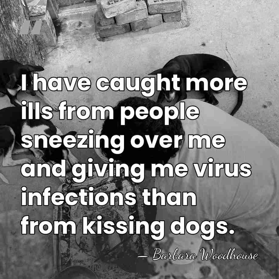 I have caught more ills from people sneezing over me and giving&hellip; - Barbara Woodhouse