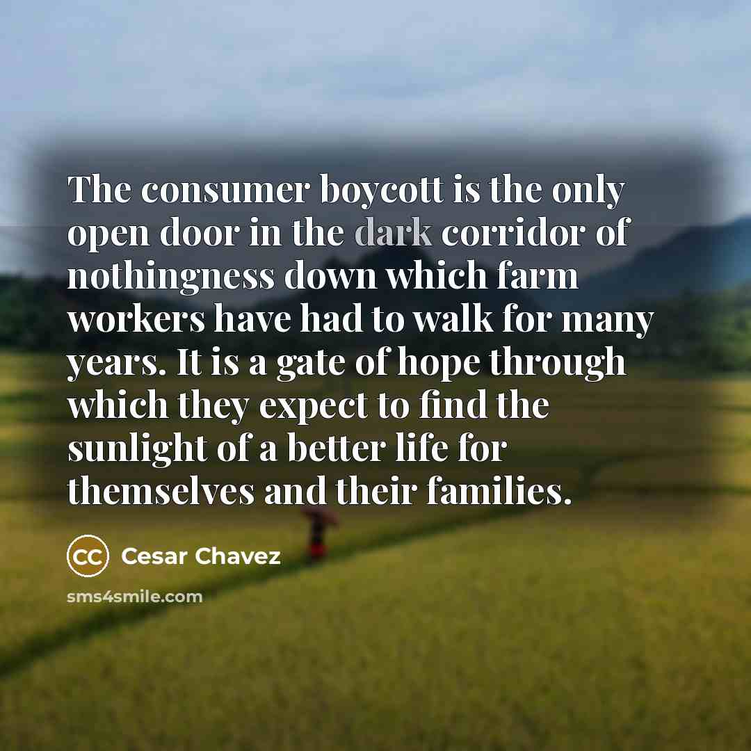 “The consumer boycott is the only open door in the…” quote by Cesar Chavez