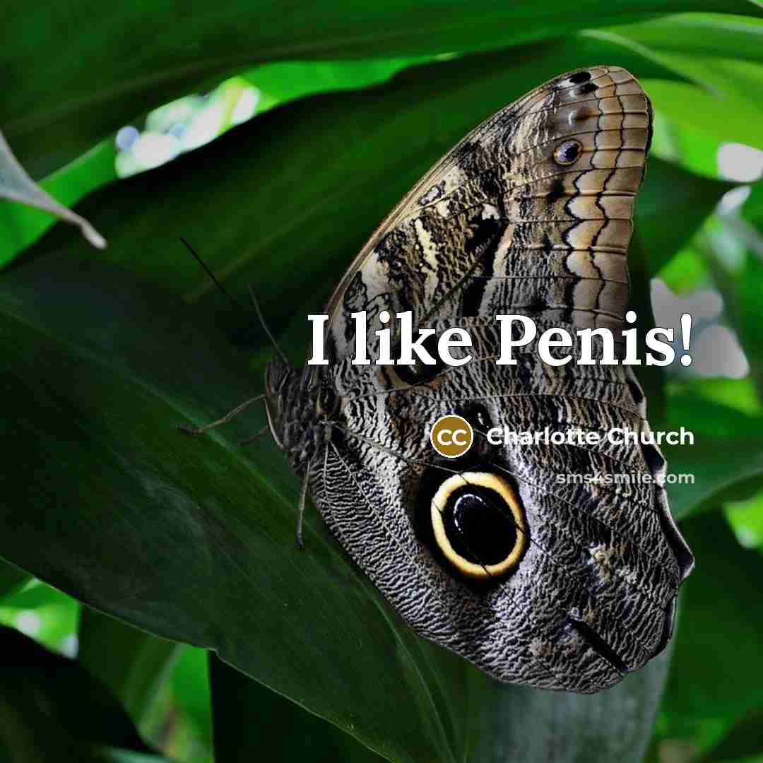 “I like Penis!” quote by Charlotte Church