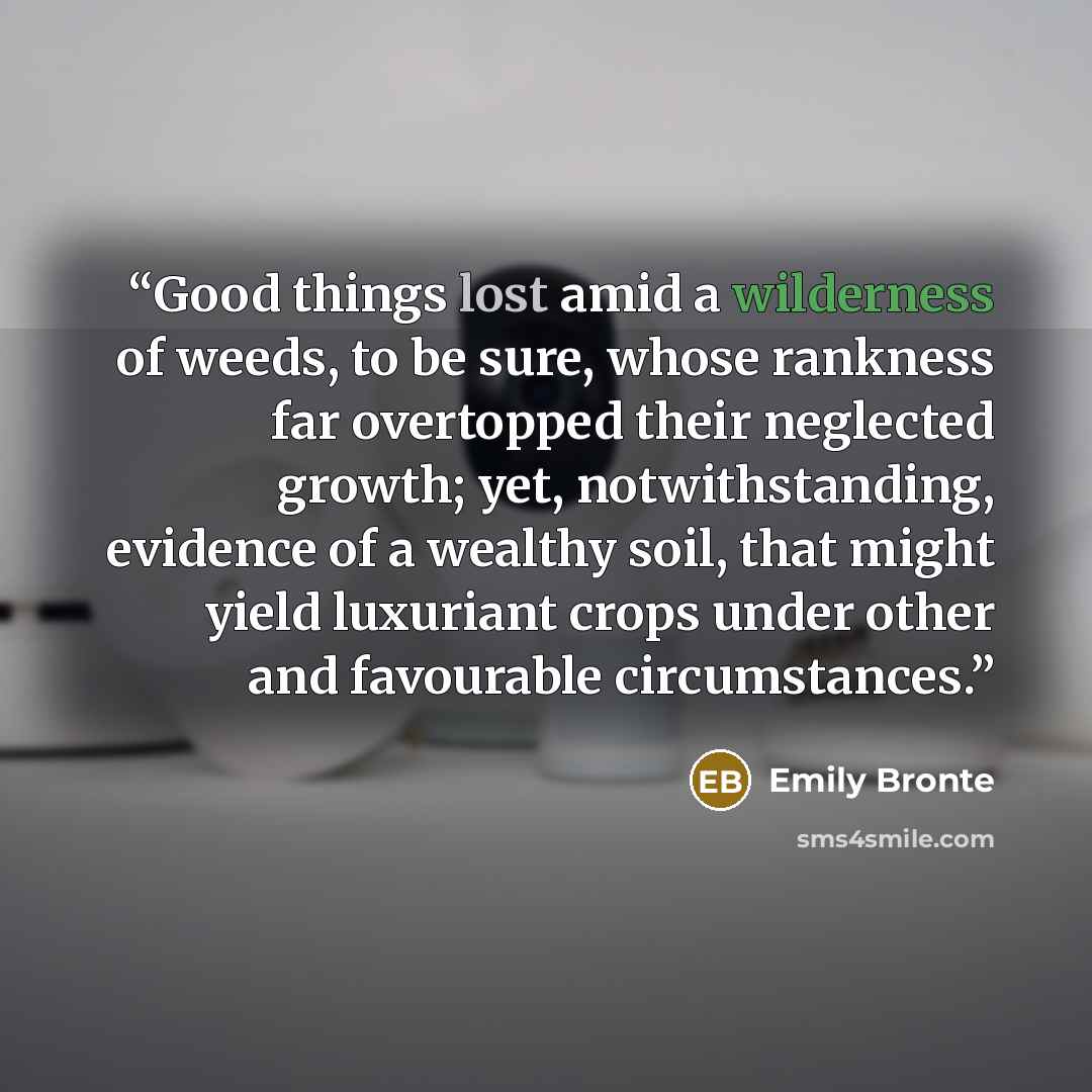 “Good things lost amid a wilderness of weeds, to be sure, whose rankness far overtopped their neglected growth; yet, notwithstanding, evidence of a wealthy soil, that might yield luxuriant crops under other and favourable circumstances.” quote by Emily Brontë