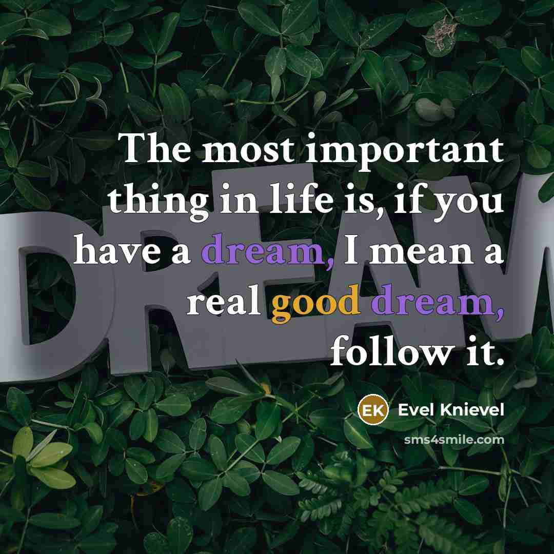 “The most important thing in life is, if you have…” quote by Evel Knievel