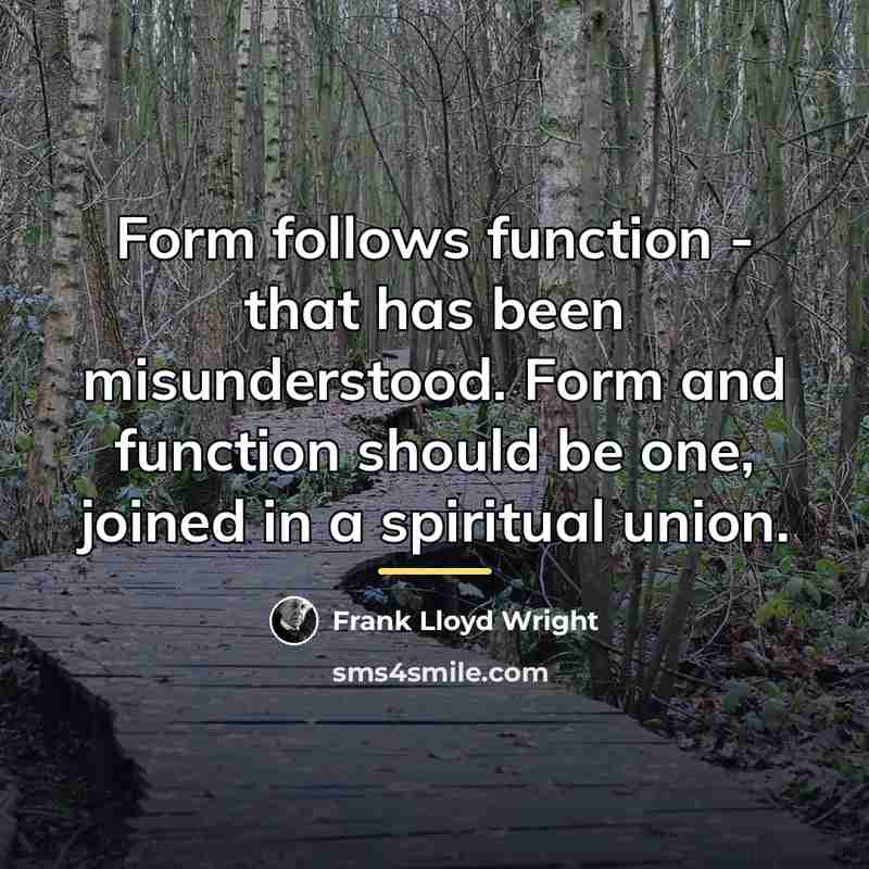 “Form follows function - that has been misunderstood. Form and…” quote by Frank Lloyd Wright