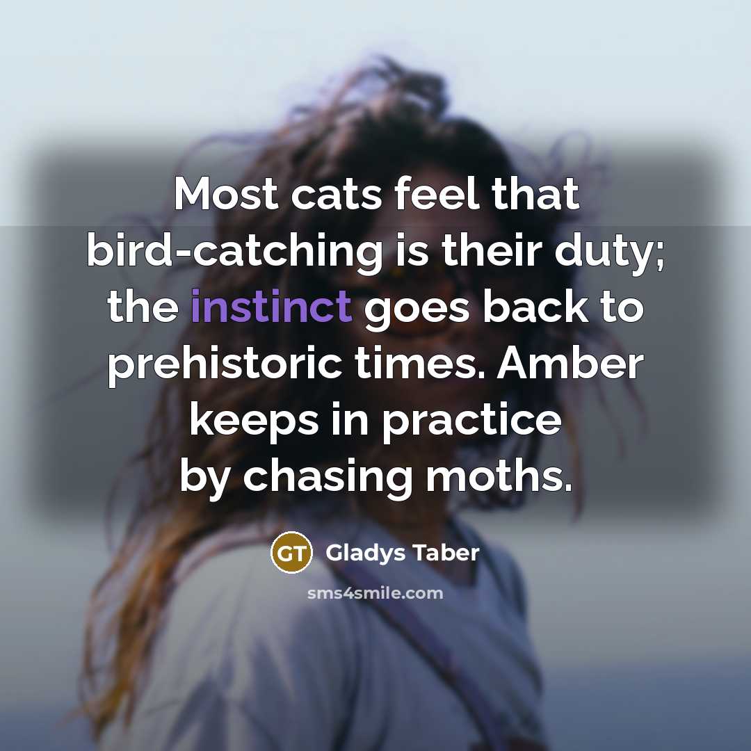 “Most cats feel that bird-catching is their duty; the instinct…” quote by Gladys Taber