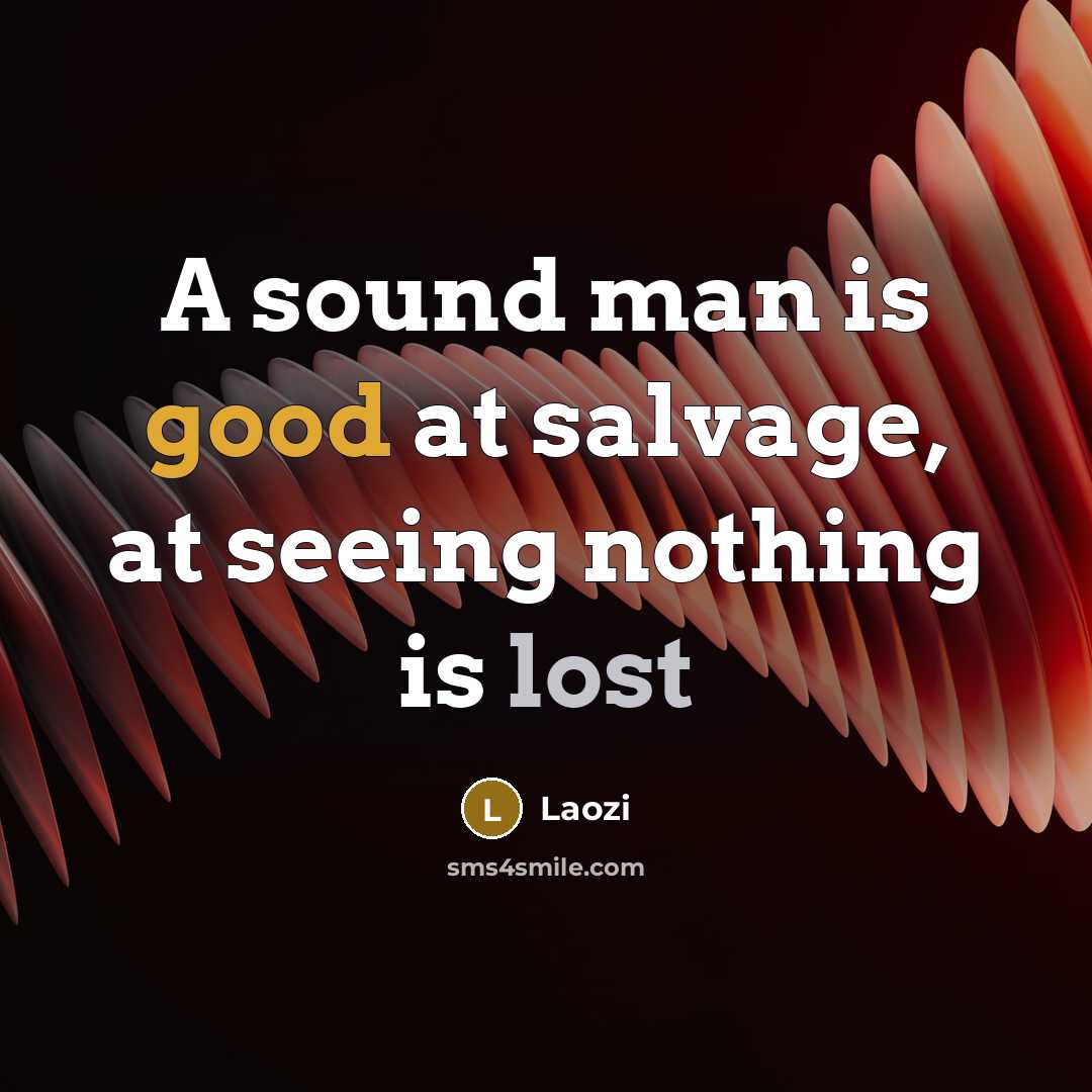 “A sound man is good at salvage, at seeing nothing…” quote by Laozi