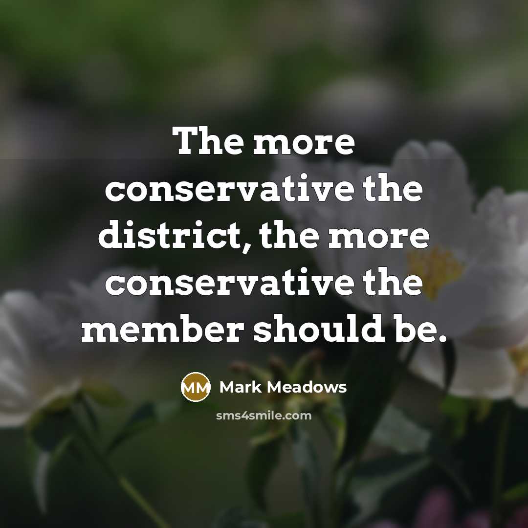 “The more conservative the district, the more conservative the member…” quote by Mark Meadows