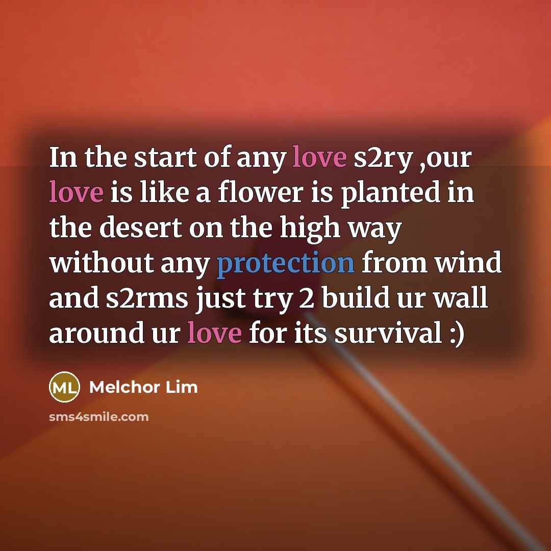 “In the start of any love s2ry ,our love is…” quote by Melchor Lim